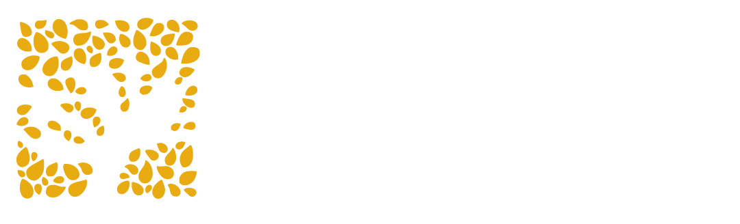 Barakah charity USA