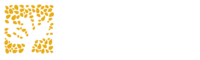 Barakah charity USA